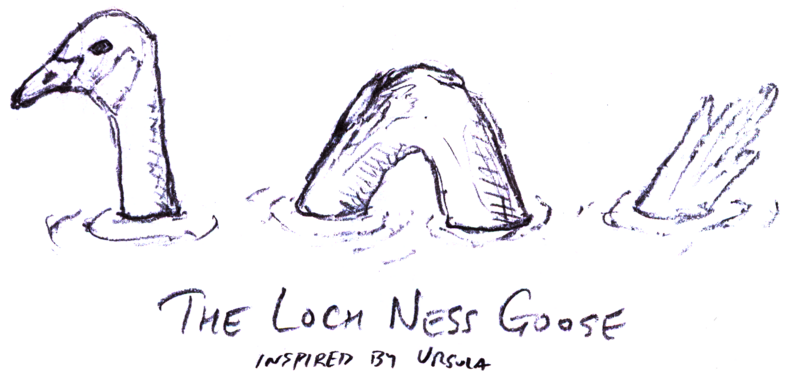 File:2009-02-16 Loch Ness Goose.adj.bal.png