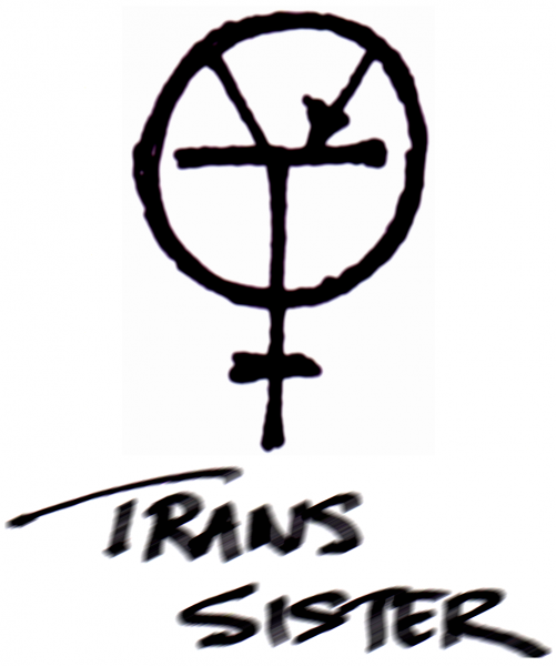 2017-03-09 Trans Sister.take 2.pen.adj.png