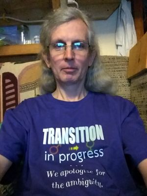 "Transition in Progress" shirt available from Spreadshirt - multiple colors and options; will customize the design on request